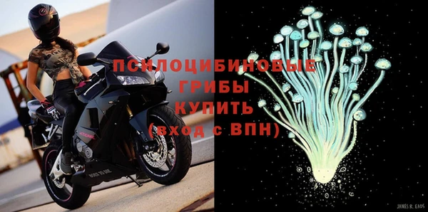 МДПВ Абдулино