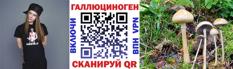 даркнет клад  Щучье  Псилоцибиновые грибы ЛСД 