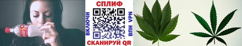 кракен ссылки Щучье Конопля семена